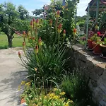 Calla Retreat 山林小屋