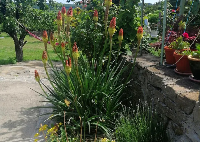 Calla Retreat Jaktstuga