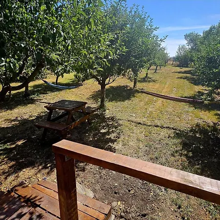 Calla Retreat Domek letniskowy Vezenkovo