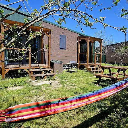 Calla Retreat *