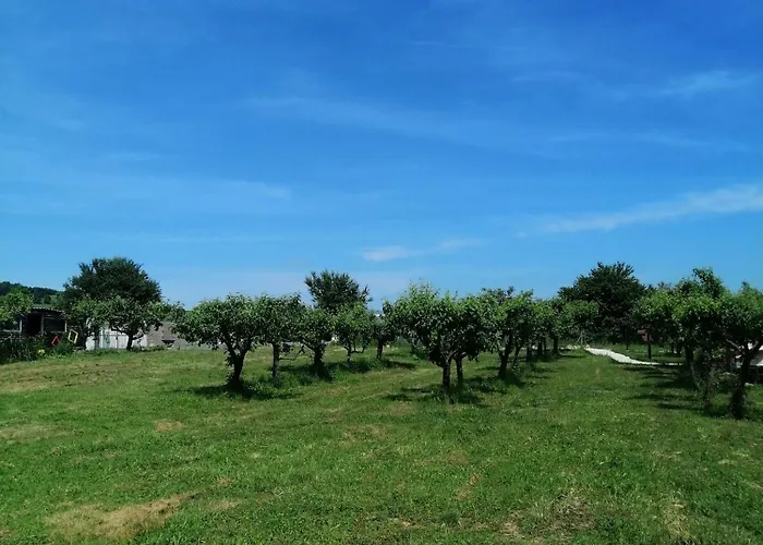 אכסניה Calla Retreat