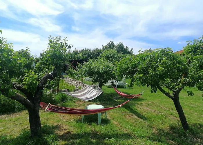 Calla Retreat אכסניה Vezenkovo